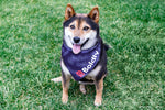 Boldly Pet Bandana - Navy